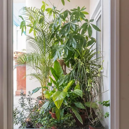 Apartment Top-floor In The Heart Of Cagliari